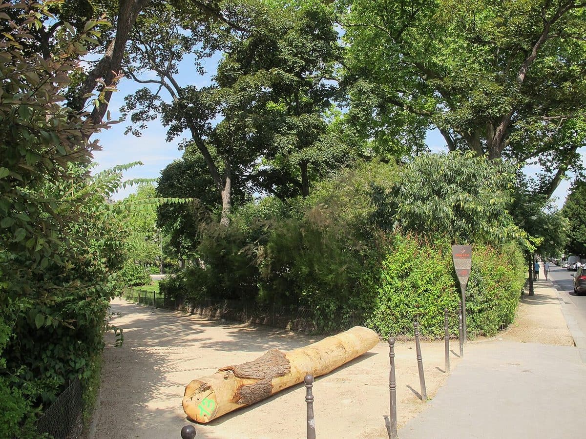 Photograph of Paris Apartment, 22 Avenue Foch, 75116 Paris, France - location connected to the Jeffrey Epstein case