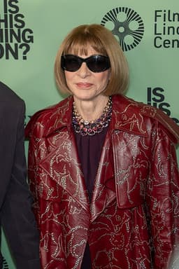 Anna Wintour headshot from DOJ case files
