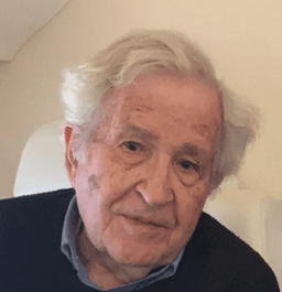 Noam Chomsky headshot from DOJ case files